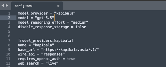Codex CLI 配置文件