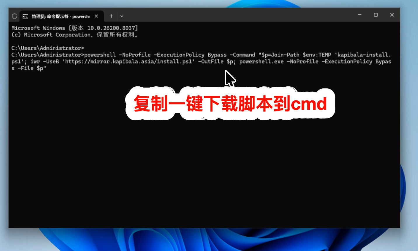 在 Windows CMD 中执行一键安装命令