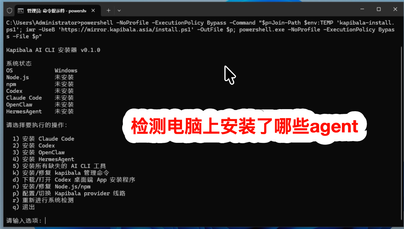 检测 Windows 中已安装的 AI Agent