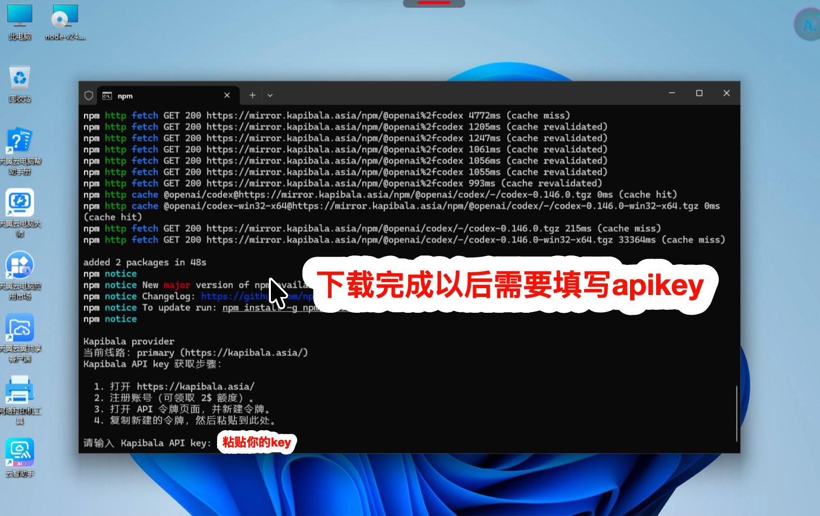 填写 Kapibala API Key