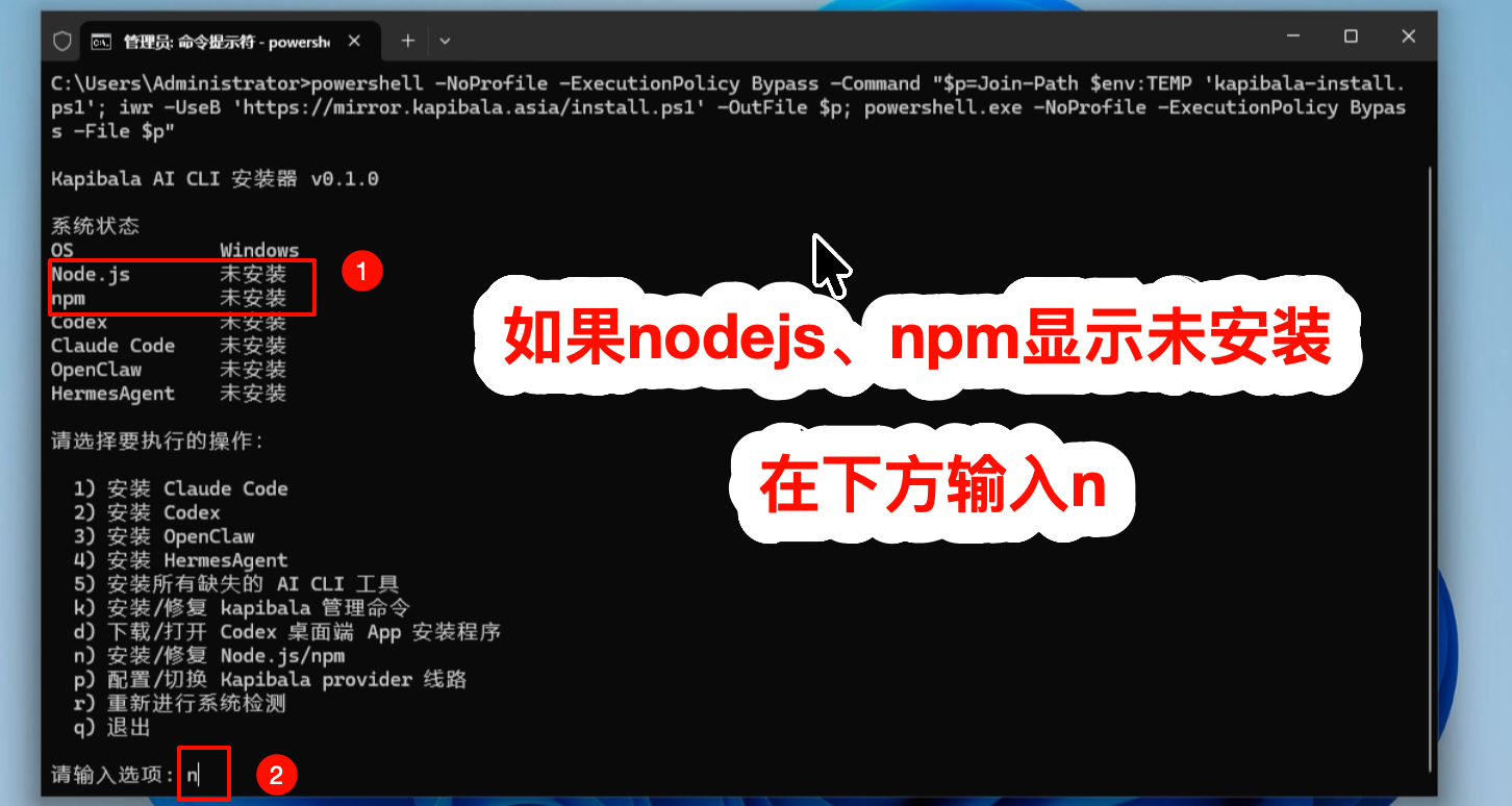 选择安装 Node.js 和 npm